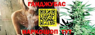 шишки Коммунар