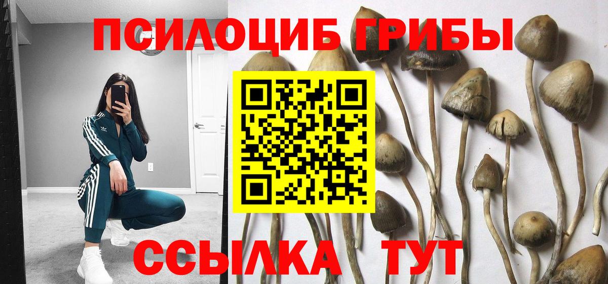 Галлюциногенные грибы MAGIC MUSHROOMS Чусовой