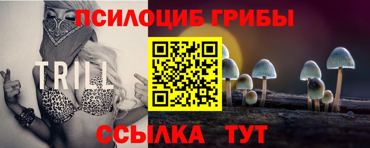 Псилоцибиновые грибы Psilocybe  Вход с VPN  Чусовой 