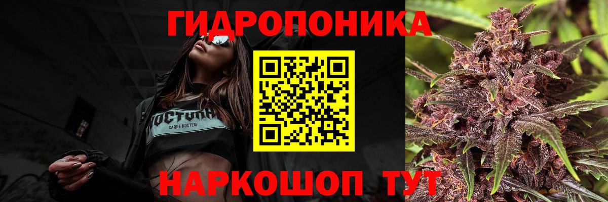 Бошки Шишки марихуана Чусовой